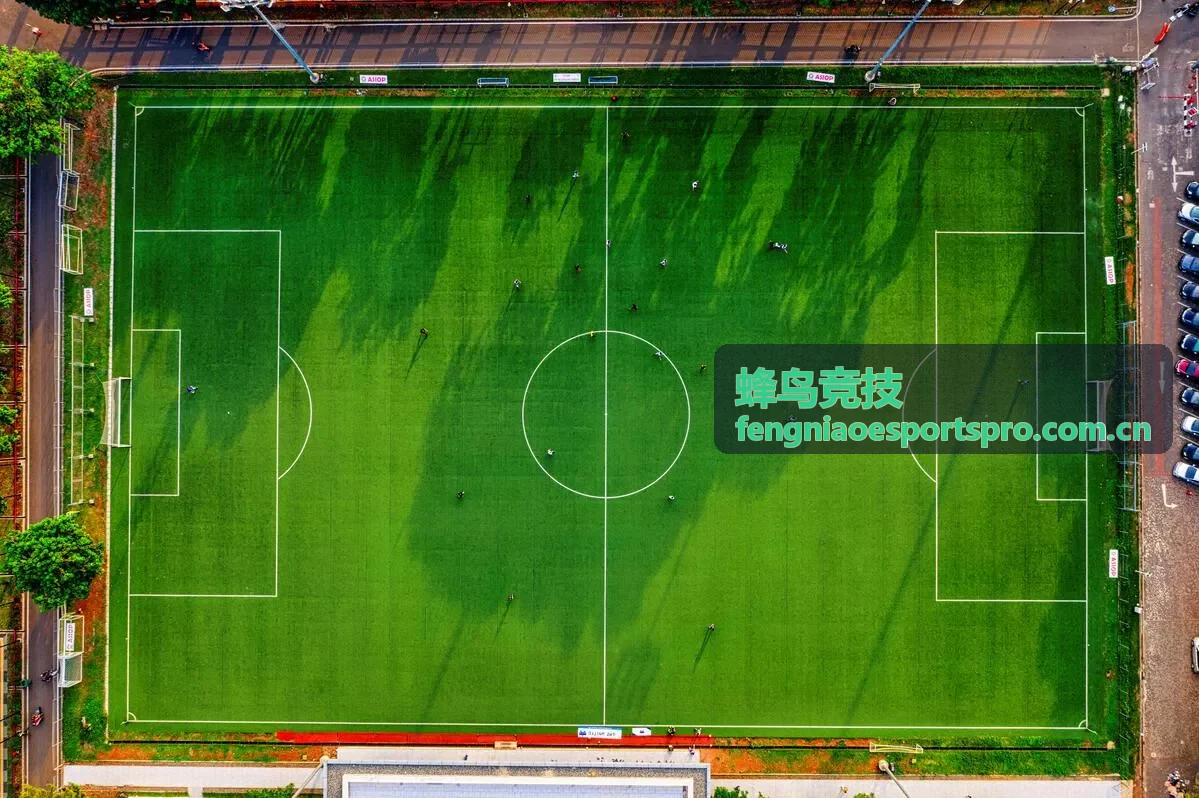 蜂鸟竞技直播回放中心订阅提醒——精彩瞬间永不错过